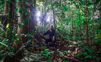 Great Amazon Immersion - 4 days