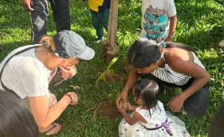 Amazon Connection - 3 days